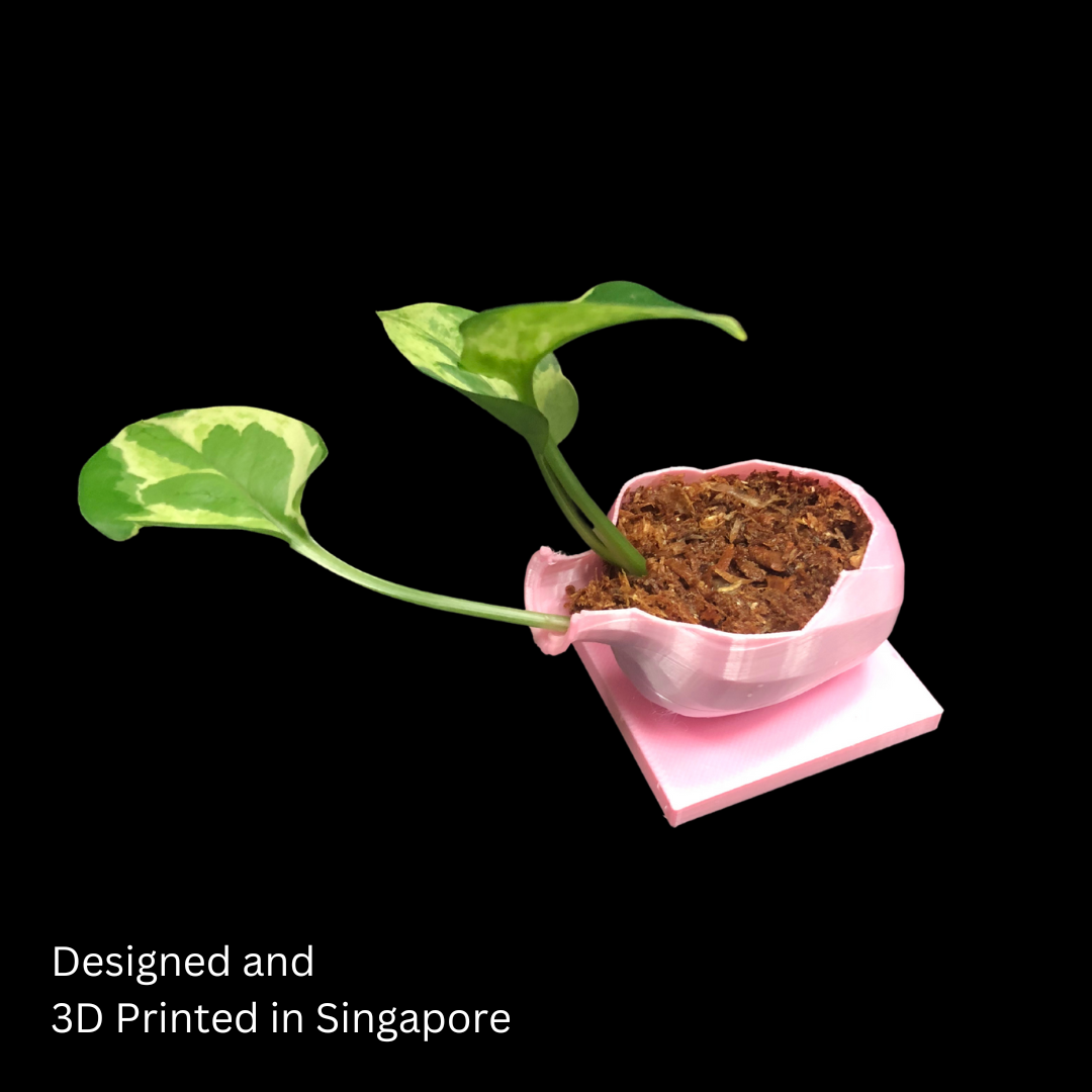 Modern 3D Printed Plant Jar – Perfect for Indoor Greenery