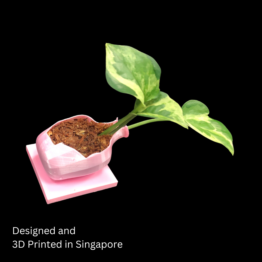 Modern 3D Printed Plant Jar – Perfect for Indoor Greenery