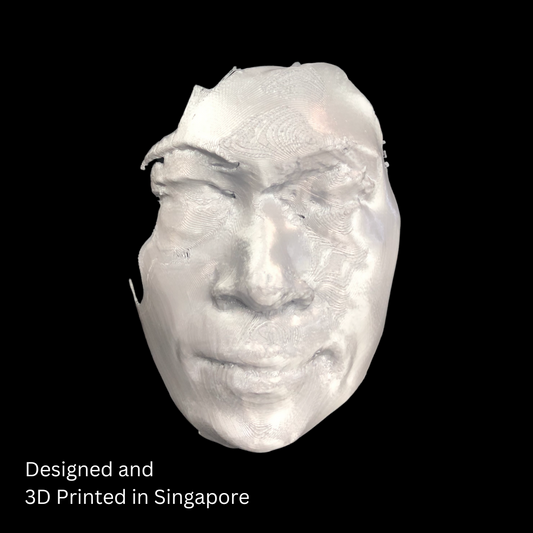 Steven Lim Kor Kor 3D Face Art Collectible